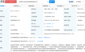 居然之家换帅！杨芳接替汪林朋出任投资控股集团董事长