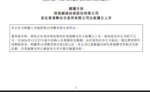 阿里系再添新成员，斑马智行拟分拆赴港上市