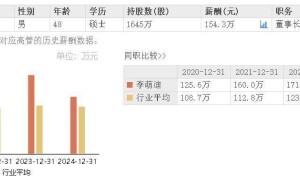 丝路视觉上半年亏损收窄，董事长李萌迪薪酬大降近三成