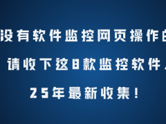 2025精选！8款高效网页操作监控软件，助力企业管理与网络安全