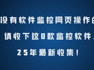 2025精選！8款高效網(wǎng)頁操作監(jiān)控軟件，助力企業(yè)管理與網(wǎng)絡(luò)安全