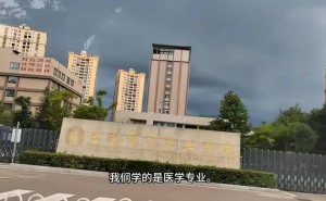 医学生流水线实习，职业教育实习乱象何时止？