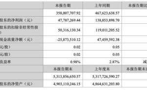 掌趣科技上半年业绩承压，营收净利双降，董事长减持套现引关注