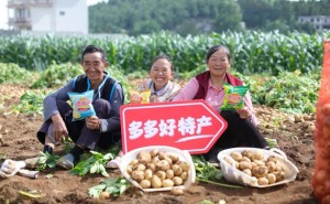 拼多多Q2财报：千亿扶持显成效，供需两侧高质量发展加速跑