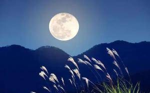 清代厉鹗笔下的灵隐寺月夜，清幽静谧，每一句都美得像幅画！