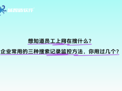 企业如何有效监控员工网络行为？三种搜索记录监控方法大揭秘