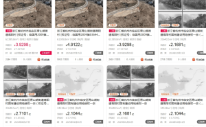 临安青山湖荒地搁置19年，近15亿资产待售，谁将接手这块“烫手山芋”？