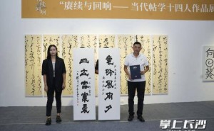 当代书法十四名家长沙聚首，美仑美术馆免费展新帖学风采
