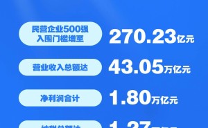 2025中国民营企业500强榜单揭晓，京东阿里恒力领跑