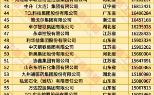2025中国民营企业500强榜单揭晓，京东阿里恒力领跑