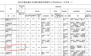 上海三桥小学22名学生享23名教师，教育资源如何配置引关注