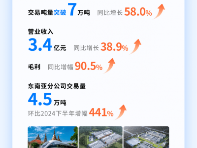 找钢集团2025上半年业绩亮眼：国际业务激增，AI战略显成效