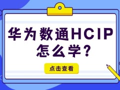 华为数通HCIP学习全攻略：从基础到备考，网工进阶必备指南