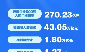 2025中国民企500强揭晓：京东阿里恒力领跑，福建哪些企业上榜？