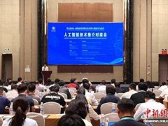 中阿人工智能技术对接会在银川启幕，共探数字技术合作新机遇