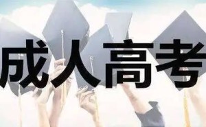 2025成考语文必备知识点与全真押题卷，助力考生圆梦！