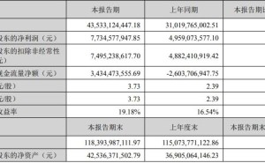 安徽新能源巨头阳光电源，再启IPO征程剑指全球