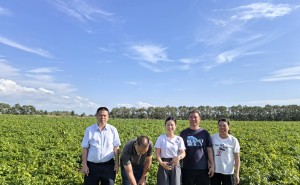草原上的智慧新绿：科技与生态共舞的农业奇迹