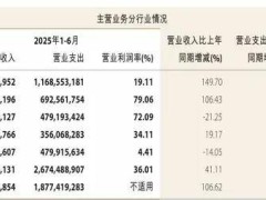 中金上半年业绩大增，港股IPO领跑市场，新任总裁王曙光引领新篇章