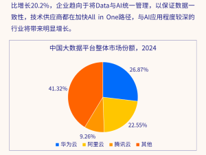 2024中国大数据平台市场展望：AI转型加速，Agent赋能引领新潮流