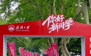 武大招生遇挑战，杨同学事件后报考价值几何？