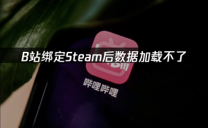 B站绑定Steam数据加载难题：原因分析与UU加速器解决方案