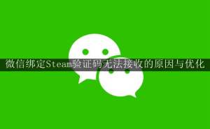 微信绑定Steam验证码难收？网络优化与权限调整助你轻松搞定