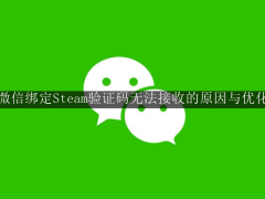 微信绑定Steam验证码难收？网络优化与权限调整助你轻松搞定