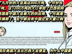 美豆价低却难入华门？关税运费暗藏玄机，巴西豆缘何成中国首选？