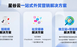 制造业B2B出海社媒营销：数据、内容与AI如何破解精准获客困局？