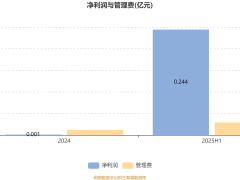 兴证全球红利量化选股A：2025上半年业绩稳健，持仓估值低且回撤可控