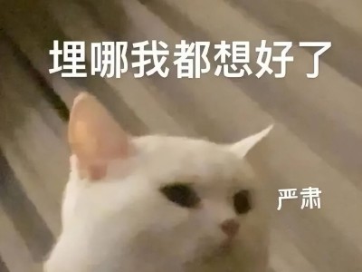 不关机也能换电池？Ulefone新机可拆后盖设计，还有迷你电池保驾护航