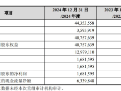 中芯国际拟全资控股中芯北方，收购预案发布后明日A股复牌