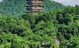 标题