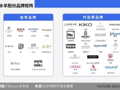十强洗牌、双百亿可期：国货美妆多线突围抢占国际新赛道