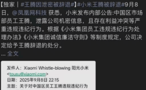 小米王腾被辞退引热议：创始人IP独特性与企业反腐防线的双重思考