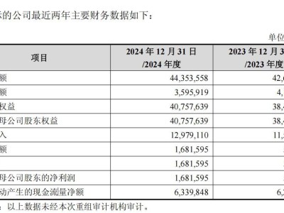 ​芯片龙头中芯国际“双线并进”：购盈利资产增利，售亏损业务强主业​