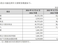 ​芯片龙头中芯国际“双线并进”：购盈利资产增利，售亏损业务强主业​