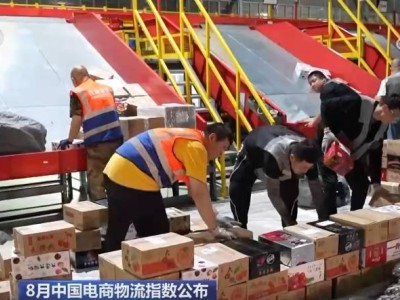 ​8月电商物流指数再攀高峰！消费潜力释放，国际航线助力物流腾飞​