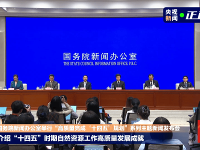 全球增绿领跑、找矿成果斐然！我国“十四五”自然资源“家底”全景揭晓