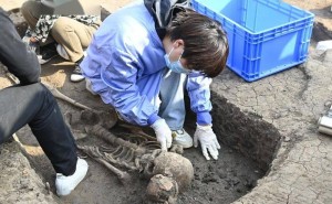​河南贾湖遗址再添新发现：8000年前木棺现世，古代礼制初露端倪！​