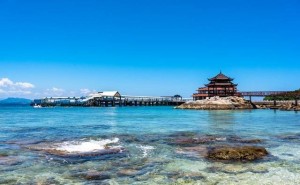 ​海南网络文化经营：许可证如何申请？合规经营要点有哪些？​