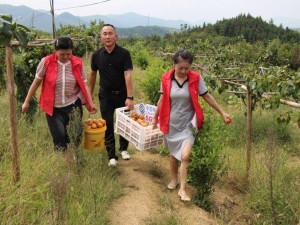 安徽移动数智助力：5G赋能田野 智慧服务绘就乡村振兴新画卷