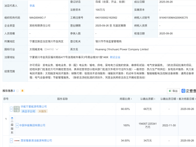 中国华能、隆基绿能在银川新设电力公司
