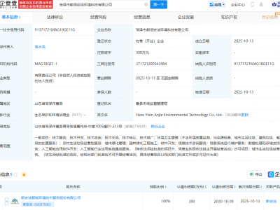 新安洁新设环境科技公司，含AI相关业务