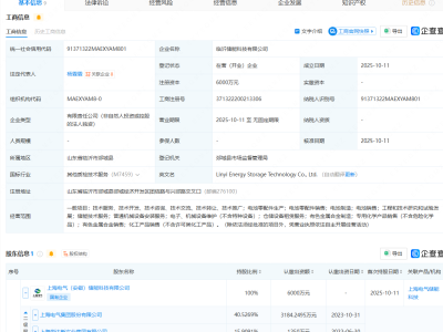 上海电气等成立储能科技公司,含电池制造业务