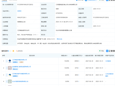 江苏国信等成立海上风力发电公司