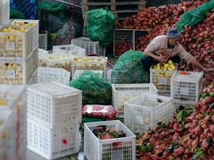 拼多多Q3財報：以“千億扶持”推動產業升級，邁向高質量發展新十年