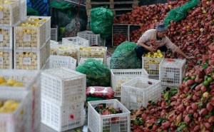 拼多多Q3财报：以“千亿扶持”推动产业升级，迈向高质量发展新十年