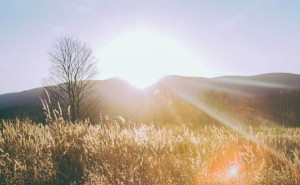 工业互联网赋能：透视供应链全流程，开启高效智能新篇章